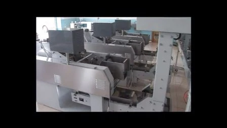 Automatic Spaghetti Packing Machine with Three Weighers