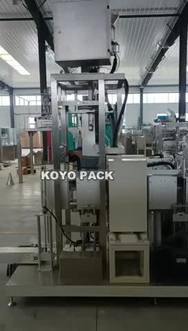 Automatic 25kg 50kg Big Bag Powder Vacuum Packing Packaging Machine